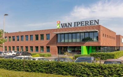 Kunstmest en de Blockchain